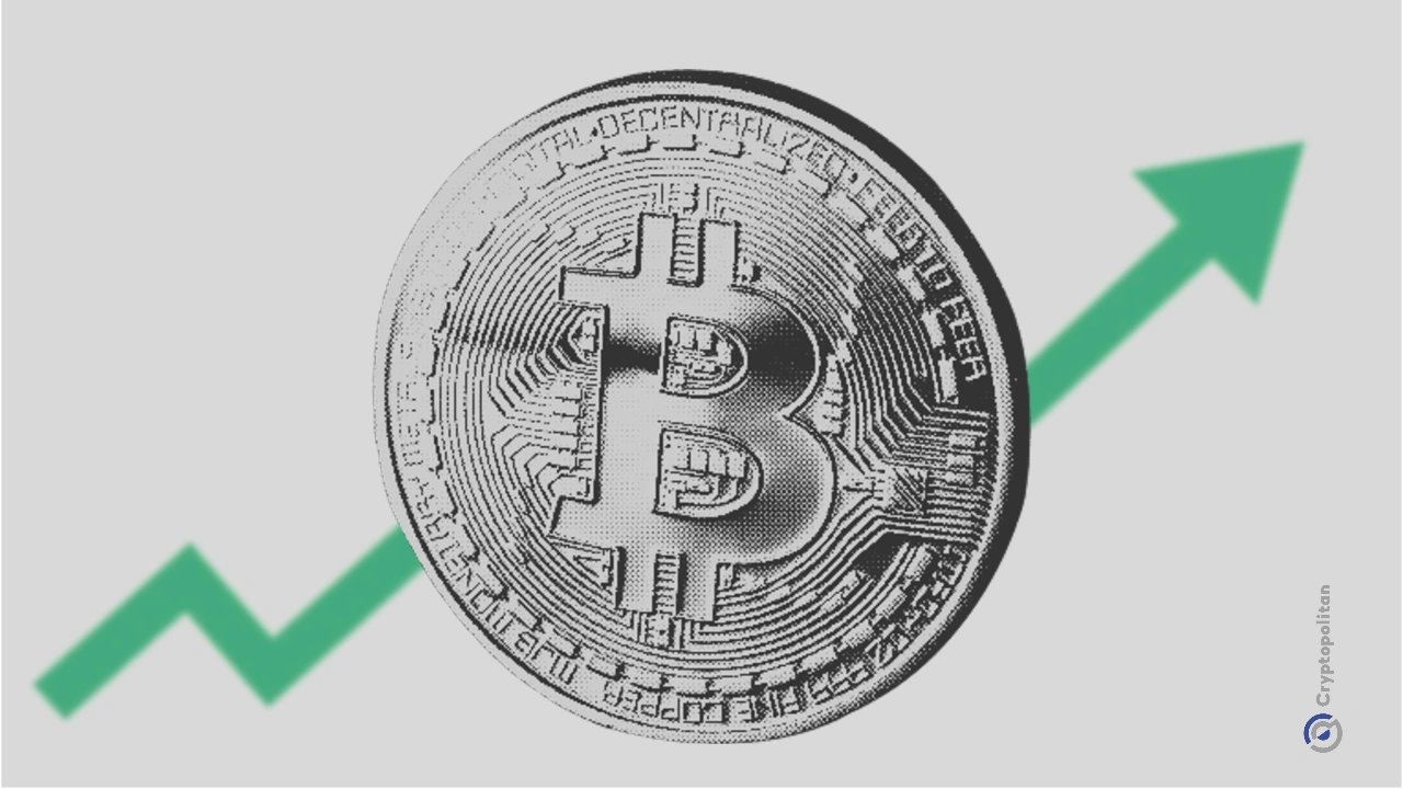 比特币超越谷歌,登顶全球第六大资产