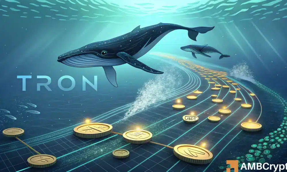 Insider Insights on TRON Liquidity Reconfiguration: Billions of Stablecoins in Circulation!